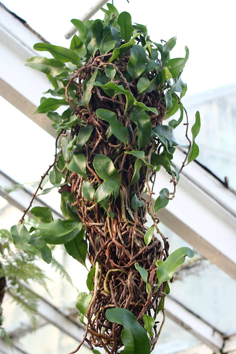 Killikus® Fotographie Killikus® Fotographie